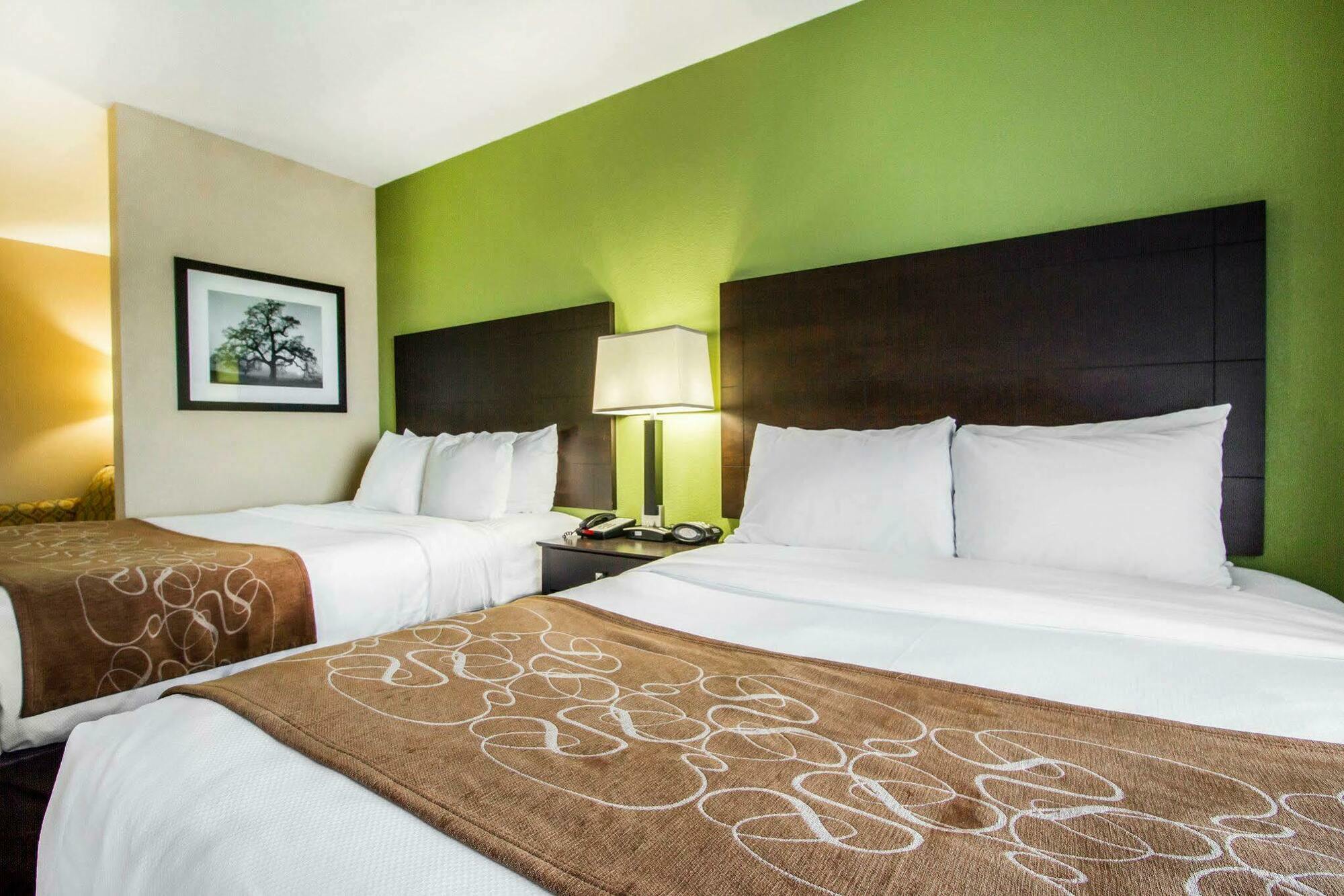 Comfort Suites Jackson I-40 Eksteriør billede